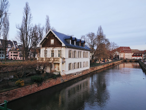 Traitement punaises de lit Maisons-Alfort